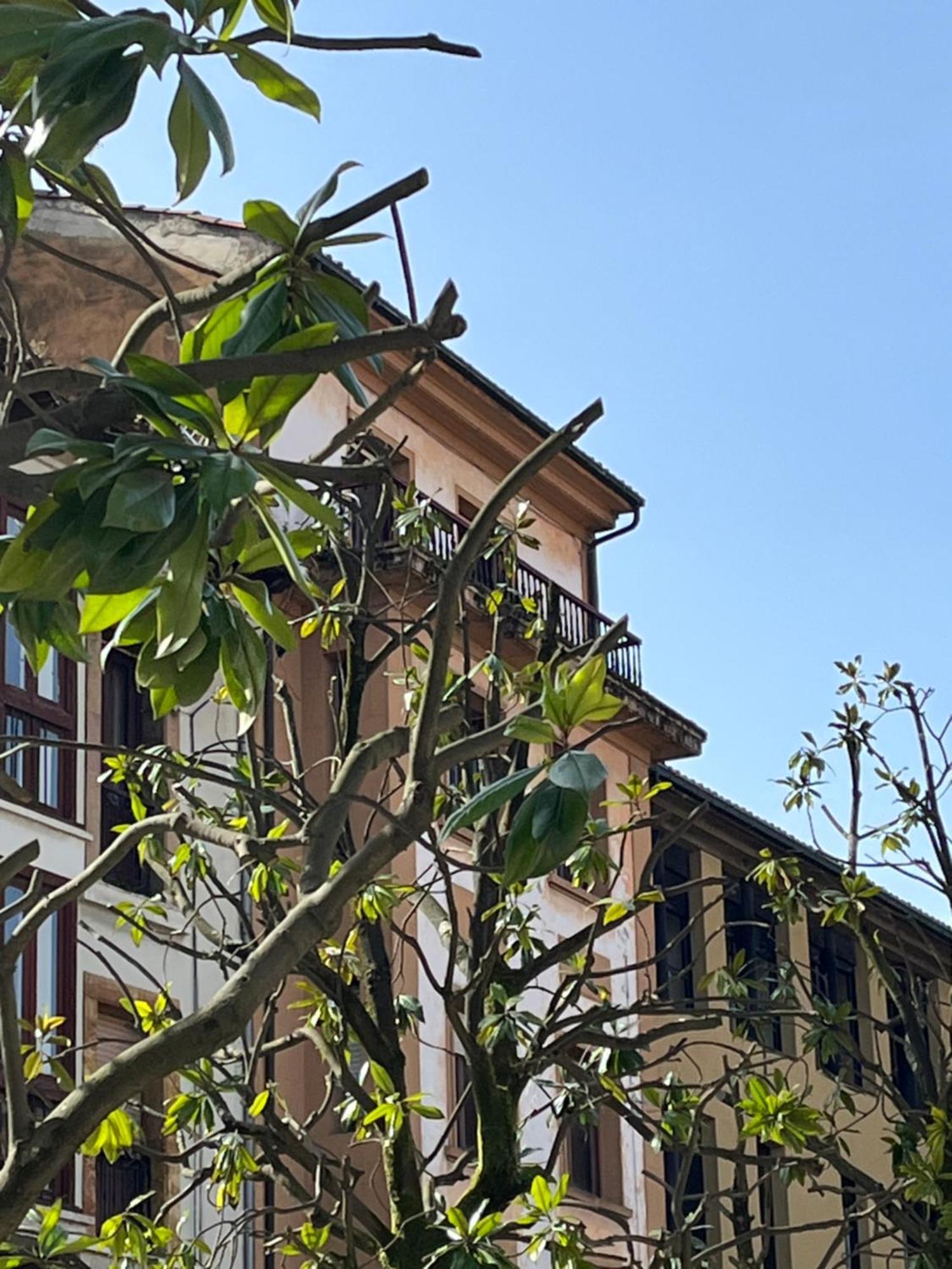 Apartamento Salsipuedes-La Catedral Oviedo Bagian luar foto